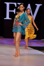 Model walk the ramp for Anupama Dayal Show at IRFW 2012 Day 1 in Goa on 28th Nov 2012 (90).JPG